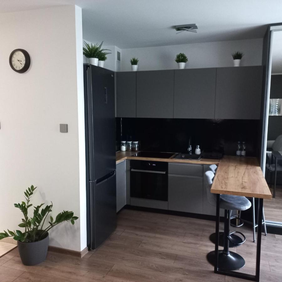 Apartament Plater Apartment Pruszcz Gdanski Exterior photo